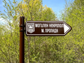 08 Пропада